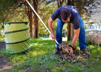 Garden Waste Clearance